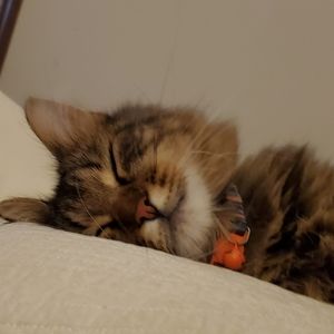 Meet your Posher, Angie